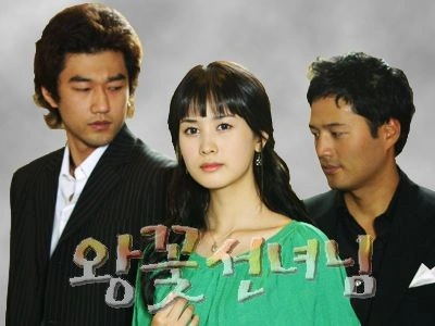 왕꽃 선녀님 포스터