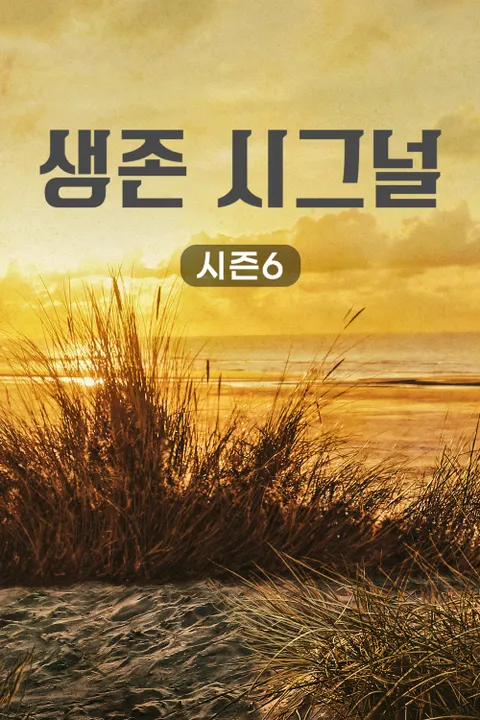 생존 시그널 시즌 6 포스터