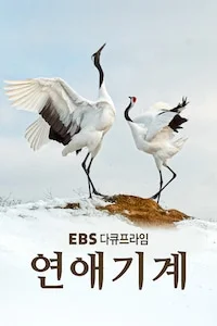 연애기계 | 다큐프라임 시즌 1 포스터