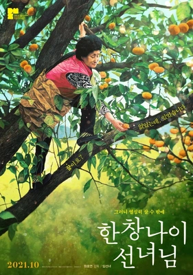 한창나이 선녀님 포스터