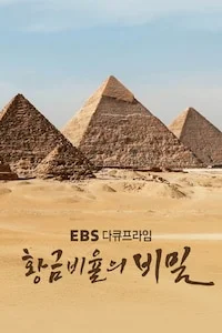 황금비율의 비밀 | 다큐프라임 시즌 1 포스터