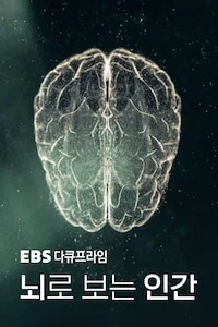 뇌로 보는 인간 | 다큐프라임 시즌 1 포스터