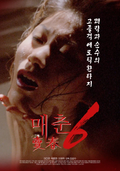 매춘 6 포스터