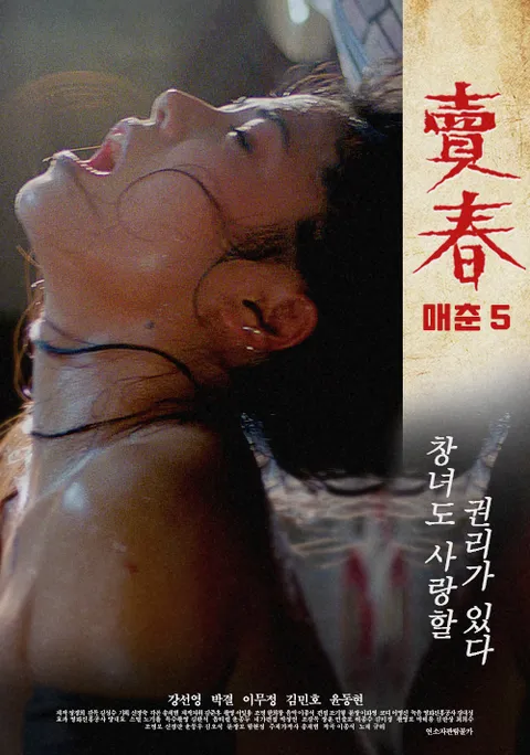 매춘 5 포스터