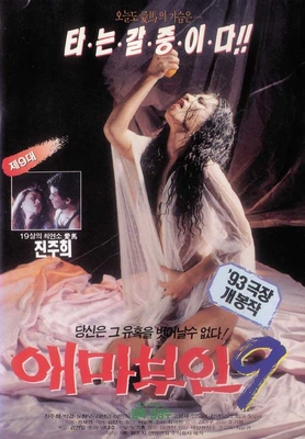 애마부인9 포스터