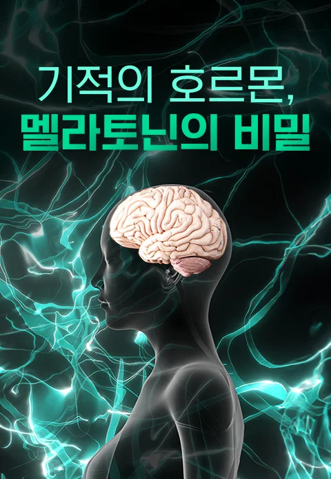 특별기획 기적의 호르몬, 멜라토닌의 비밀 포스터