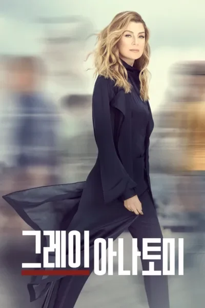 그레이 아나토미 시즌 23 포스터