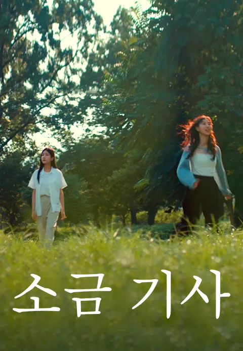 소금 기사 포스터