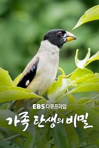 가족 탄생의 비밀 | 다큐프라임 시즌 1 포스터