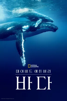 데이비드 애튼버러: 바다 포스터