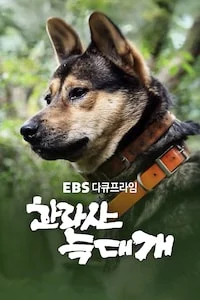 한라산 늑대개 | 다큐프라임 시즌 1 포스터