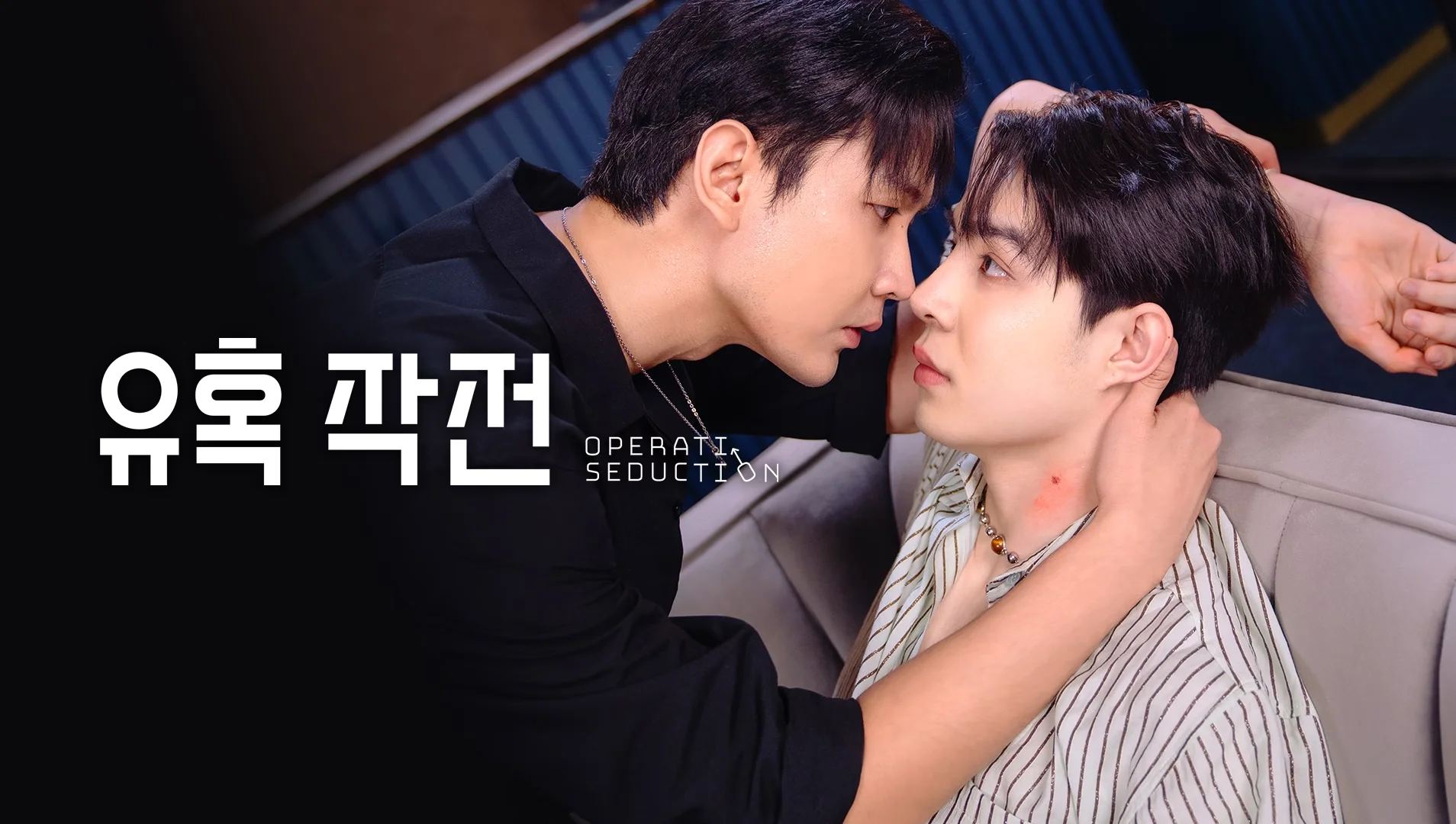 유혹 작전 포스터