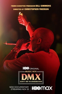 뮤직박스: DMX 이해불능 포스터