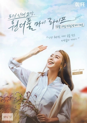 도전 인생 2막, 원더풀 마이 라이프 포스터