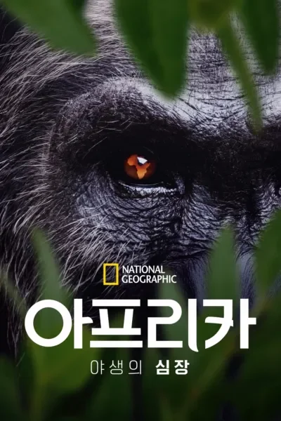 아프리카: 야생의 심장 포스터