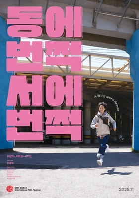 동에 번쩍 서에 번쩍 포스터
