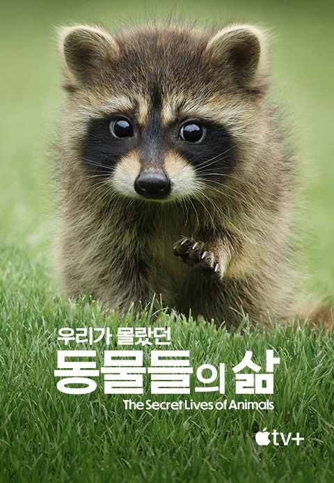 우리가 몰랐던 동물들의 삶 포스터