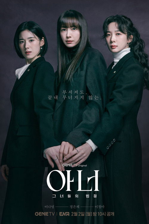 아너 : 그녀들의 법정 포스터