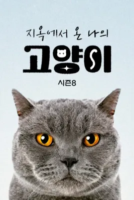 지옥에서 온 나의 고양이 시즌 8 포스터