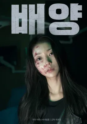 배양 포스터