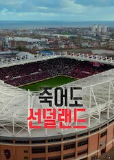 죽어도 선덜랜드 포스터