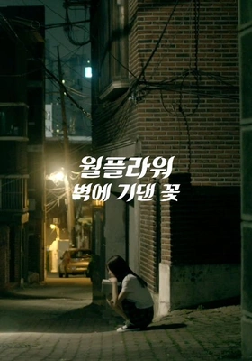 월플라워 벽에 기댄 꽃 포스터