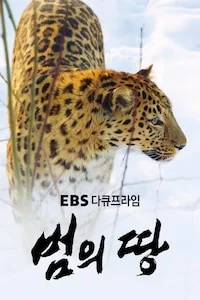 범의 땅 | 다큐프라임 시즌 1 포스터