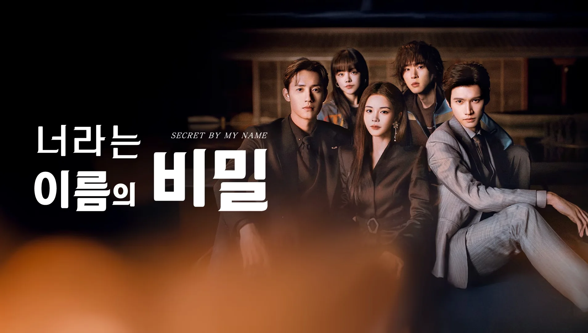너라는 이름의 비밀 포스터