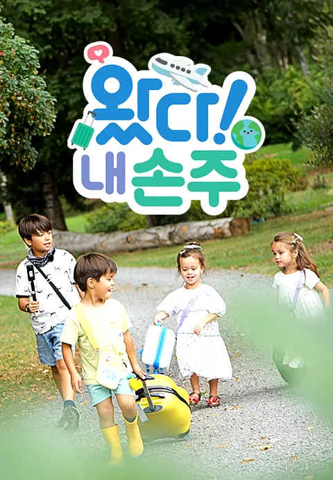 왔다! 내손주 포스터