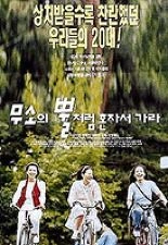 무소의 뿔처럼 혼자서 가라 포스터
