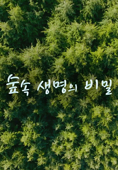 숲속 생명의 비밀 포스터