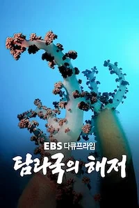 탐라국의 해저 | 다큐프라임 시즌 1 포스터