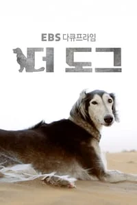 더 도그 | 다큐프라임 시즌 2 포스터