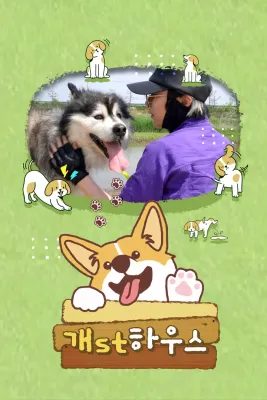 개st하우스 포스터