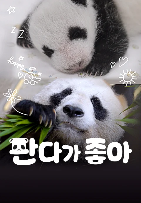 판다가 좋아 포스터