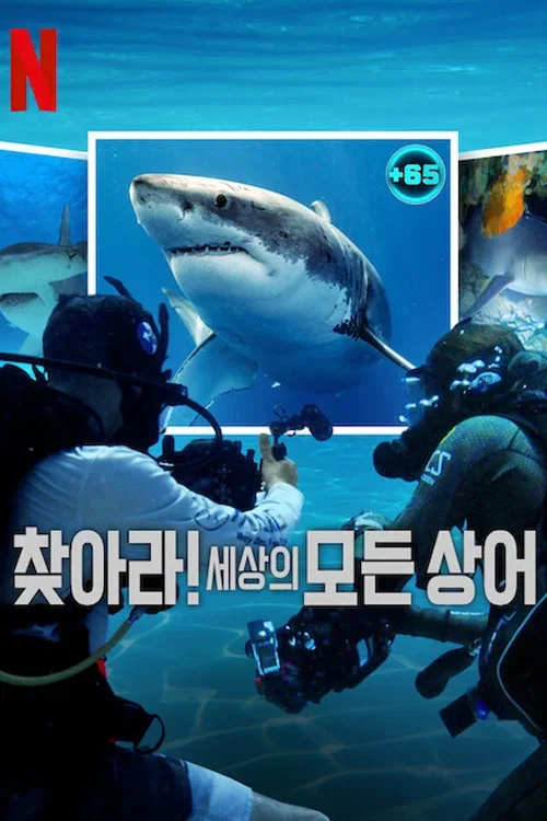 찾아라! 세상의 모든 상어 포스터