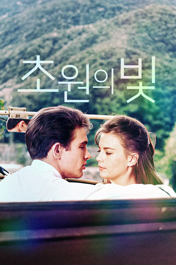 초원의 빛 포스터