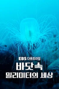 바닷속 밀리미터의 세상 | 다큐프라임 시즌 1 포스터