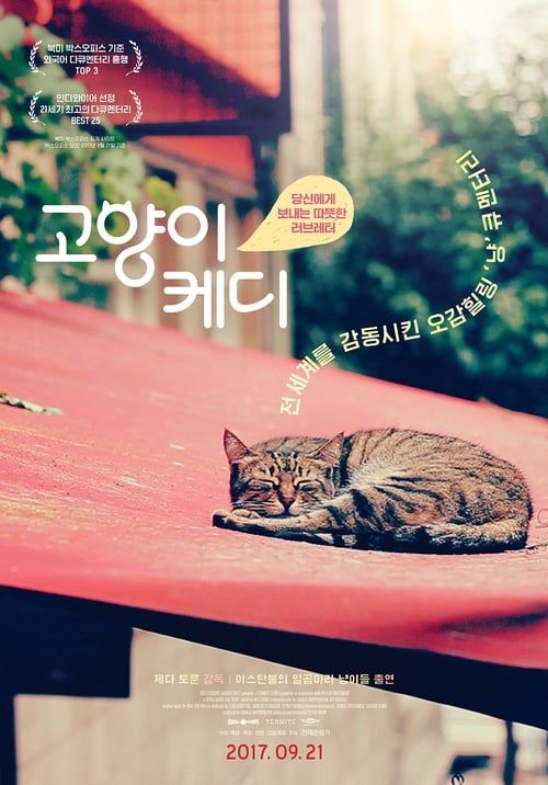 고양이 케디 포스터