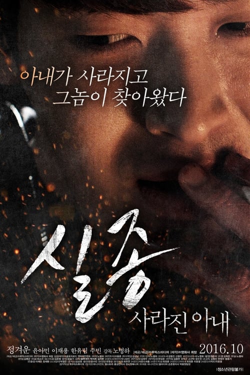 실종: 사라진아내 포스터