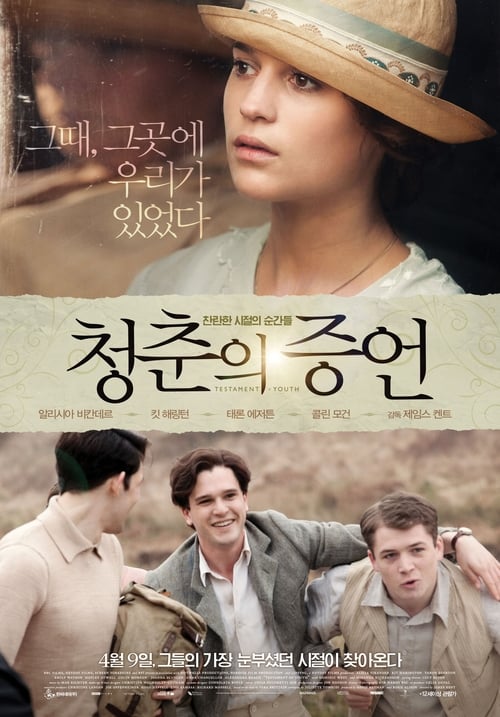 청춘의 증언 포스터