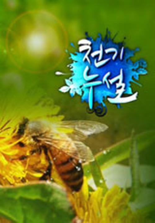 천기누설 포스터