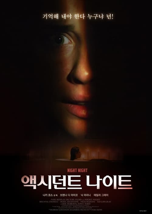 액시던트 나이트 포스터