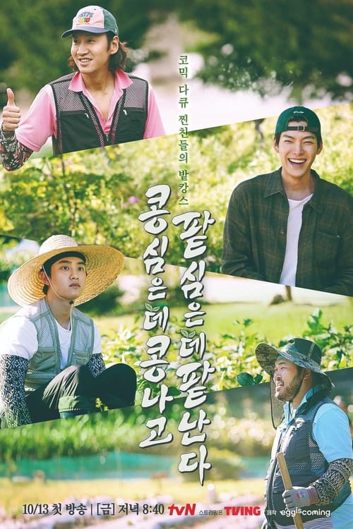 콩 심은 데 콩 나고 팥 심은 데 팥 난다 포스터